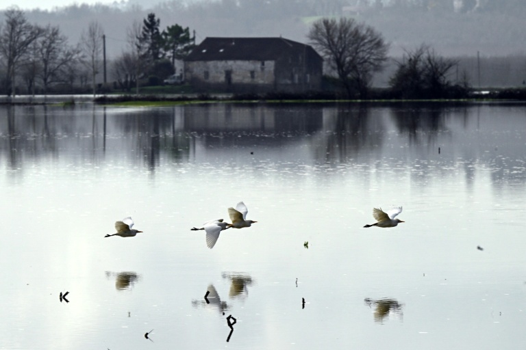 Champ inondé par la crue de la Garonne, près de Bourdelles, en Gironde, le 21 février 2026