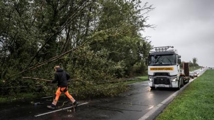 Un homme dégage des branches d'un arbre tombé sur la chaussée de la route départementale D924, près d'Équilly (Manche), en Normandie, le 23 octobre 2026, alors que la tempête Austen balayait le nord-ouest de la France 