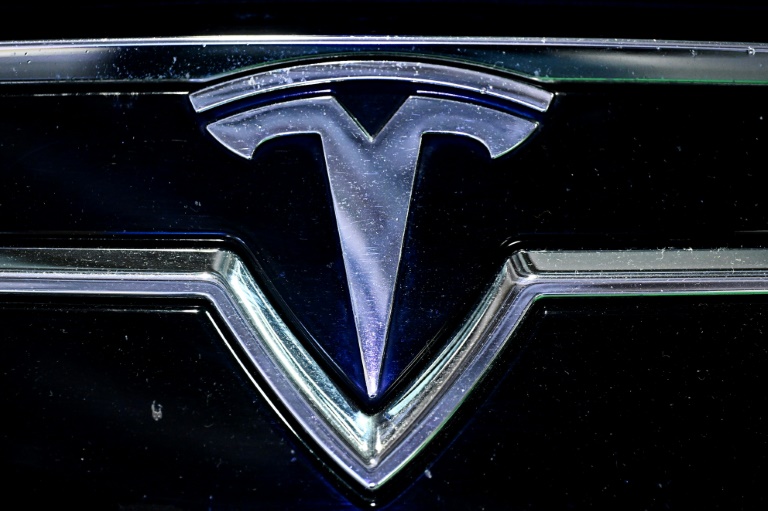 Un écusson Tesla, le 16 octobre 2024 à Paris porte de Versailles
