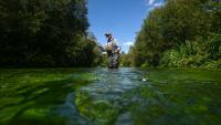 Bob Wellard, directeur de la Piscatorial Society, pêche à la mouche le 25 août 2026 dans la rivière Itchen, en Angleterre