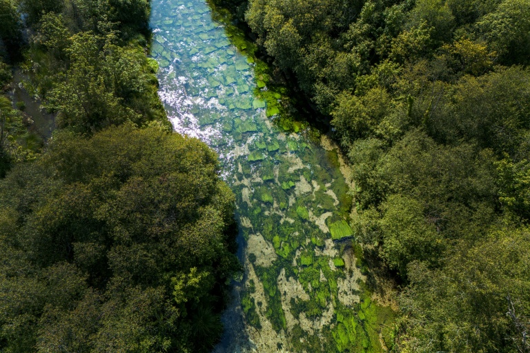 Vue aérienne du Candover Brook, un cours d’eau crayeux affluent de la rivière Itchen, près de Winchester, en Angleterre, le 25 août 2026