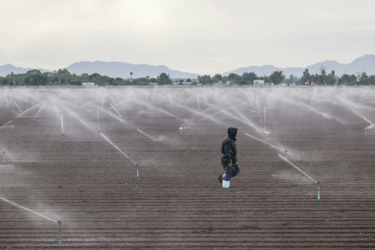 Un ouvrier agricole marche dans un champ près de Somerton, en Arizona, le 18 octobre 2026