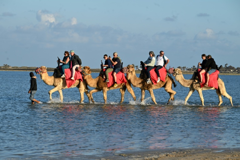 Des touristes français à dos de chameaux lors d'un séjour à Djerba, en Tunisie, le 2 mai 2026

