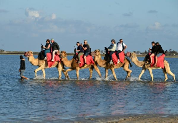 Des touristes français en séjour à Djerba en Tunisie, le 2 mai 2026.

