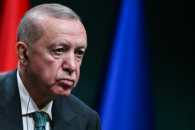 Le président turc Recep Tayyip Erdogan, le 19 novembre 2025 à Ankara 