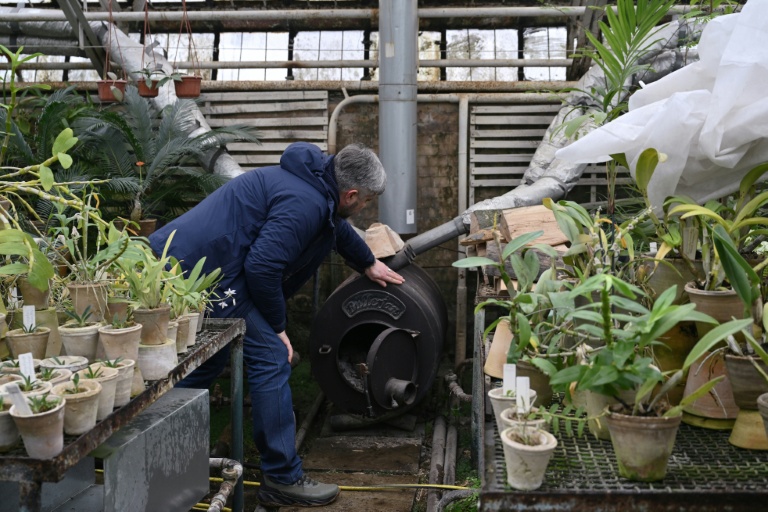 Le docteur en sciences biologiques Roman Ivannikov, chef du département des plantes tropicales et subtropicales du jardin botanique national Gryshko de l'Académie nationale des sciences d'Ukraine, inspecte un poêle à bois dans la serre du jardin à Kiev le 11 février 2026
