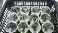 Des glaçons en forme de sphères produits à l'usine Kuramoto Ice, le 15 juin 2026 à Kanazawa, au Japon
