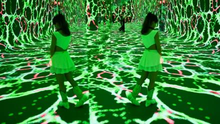 Des visualisations immersives de l'exposition "Machine Dreams : Rainforest", projetées à Dataland, le musée des arts de l'IA, à Los Angeles, en Californie, le 9 juin 2026