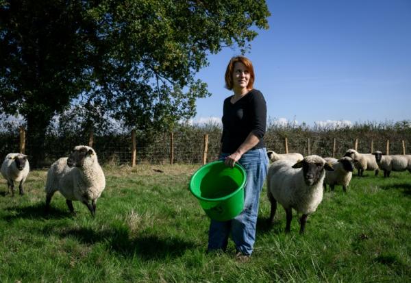 Chloé Pimont, une comédienne parisienne et végétarienne devenue éleveuse de brebis dans le Morvan, s'occupe de ses bêtes le 29 septembre 2025 à Monthelon, en Saône-et-Loire