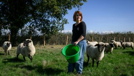 Chloé Pimont, une comédienne parisienne et végétarienne devenue éleveuse de brebis dans le Morvan, s'occupe de ses bêtes le 29 septembre 2025 à Monthelon, en Saône-et-Loire