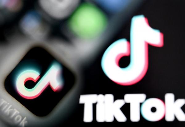 Une infirmière de Montreuil (Seine-Saint-Denis), mise en examen l'été dernier pour avoir tourné puis diffusé sur TikTok des vidéos de nourrissons à caractère pédopornographique, va être radiée de la profession