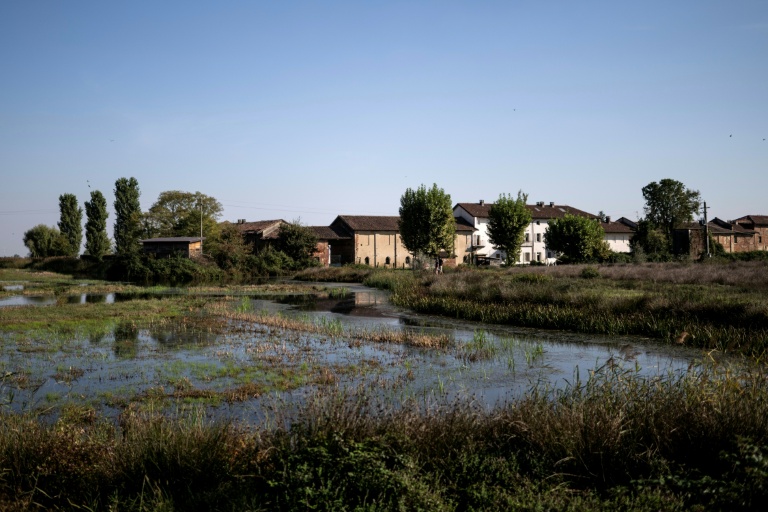 La ferme d'Alice Cerutti et les zones humides qui l'entourent à Crova, en Italie, le 28 septembre 2026