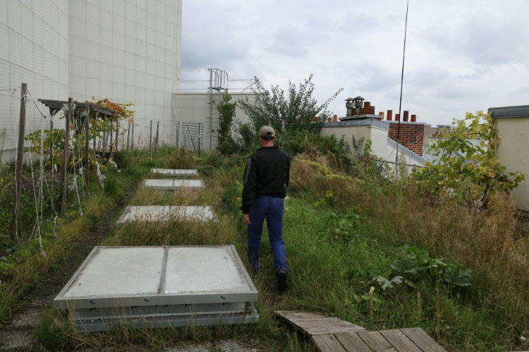 Un potager sur le toit de l'Opéra Bastille géré par la société agricole Topager, le 25 septembre 202 à Paris 