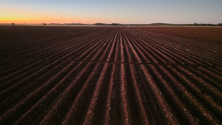 Des milliers d'agriculteurs blancs du Zimbabwe ont été expulsés dans le cadre d'un programme de réforme agraire au début des années 2000