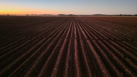 Des milliers d'agriculteurs blancs du Zimbabwe ont été expulsés dans le cadre d'un programme de réforme agraire au début des années 2000