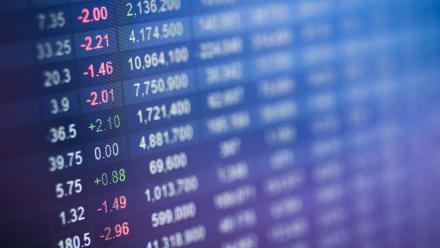 Nexity dévisse après la présentation de comptes 2024 dégradés