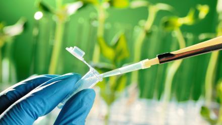 Le Flash Small & Mid du jour par Eric Lewin !