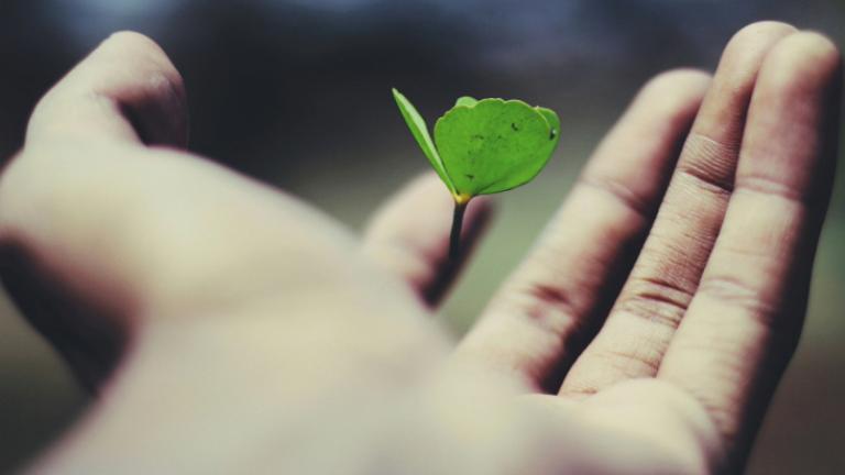 Assurance vie : la clause bénéficiaire peut être modifiée plus facilement