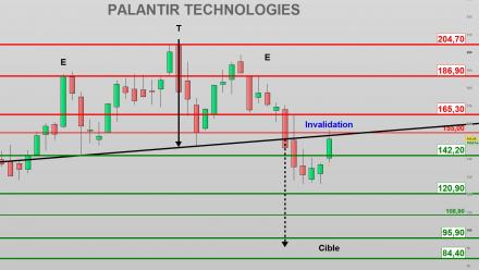 Peu d'entreprises cotées en bourse suscitent autant de passions contradictoires que Palantir Technologies.