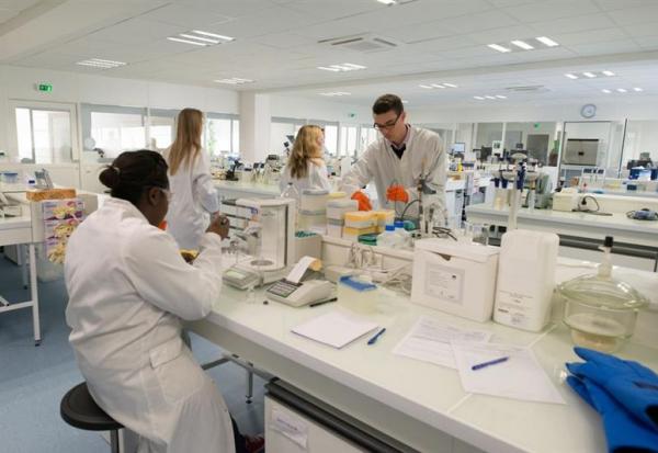 Adocia : lourde perte en 2025