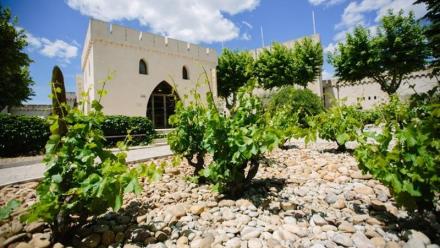 Advini : la marge s'améliore en 2025