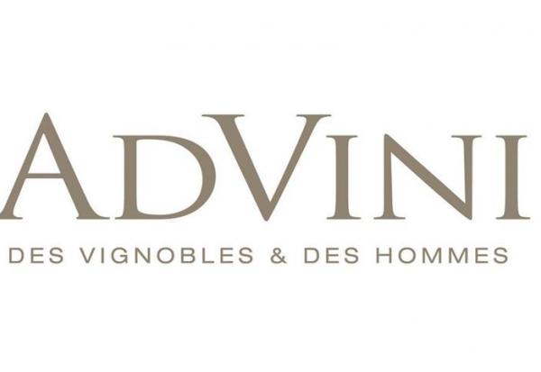 AdVini progresse à l'export et stabilise son chiffre d'affaires à 270,1 ME