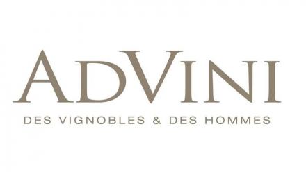 Advini reprend ses efforts de conquête