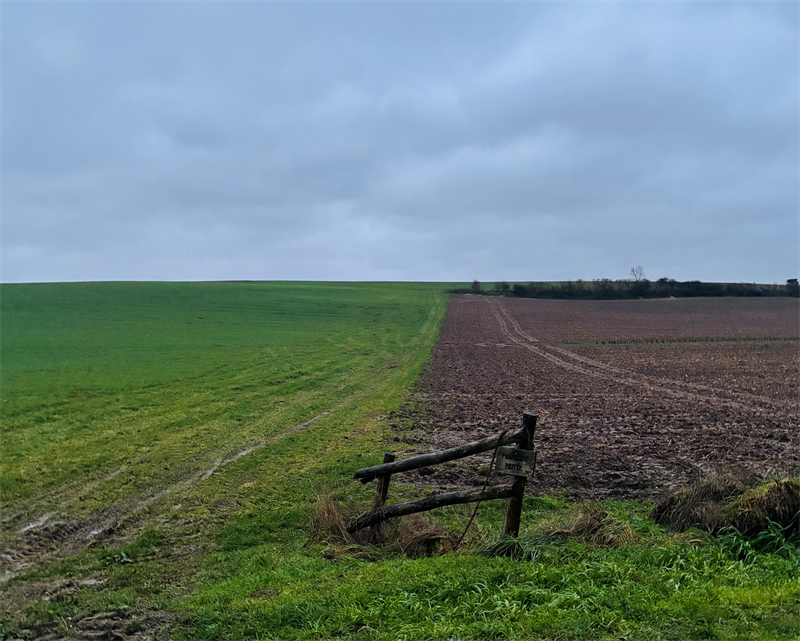 Agripower projette de lancer une augmentation de capital d'un maximum de 8 ME en septembre
