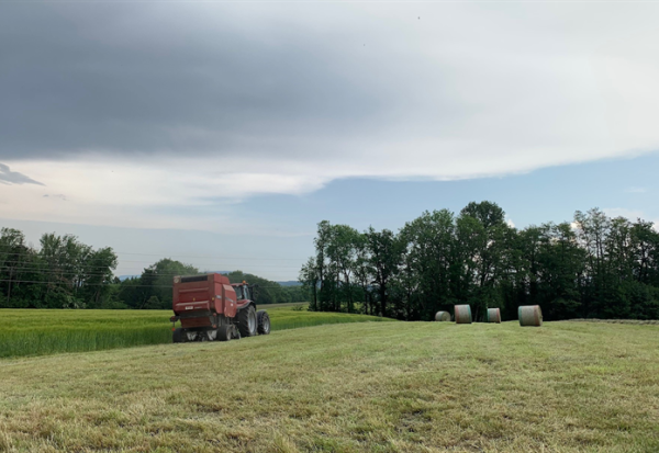AgroGeneration : la baisse des prix des cultures et la situation en Ukraine pèse sur les perspectives