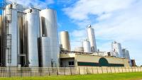 Amoéba : Deux nouvelles dérogations exceptionnelles d'utilisation aux Pays-Bas en 2026 pour la solution de biocontrôle du groupe