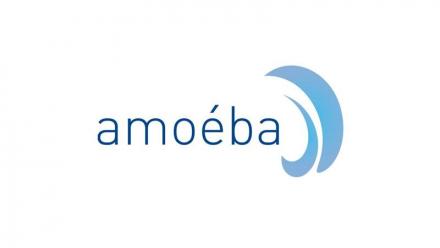 Amoéba : dispose de fonds de roulement suffisants pour faire face à ses obligations