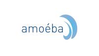Amoeba : Horizon de trésorerie jusqu'à fin 2026