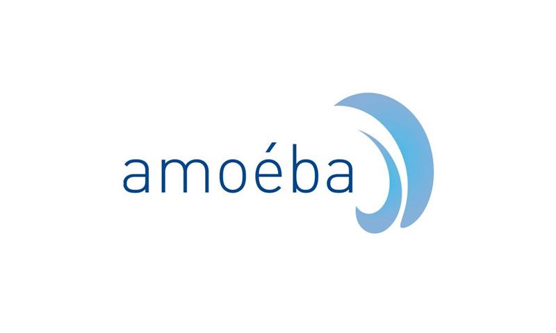 Amoeba : Nouvelle avancée stratégique