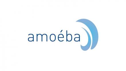 Amoeba obtient une nouvelle autorisation d'urgence pour l'utilisation de la solution de biocontrôle AXPERA afin de protéger les vignobles français