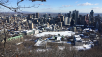 Arcadis et Egis sélectionnés pour un projet d'infrastructure au port de Montréal
