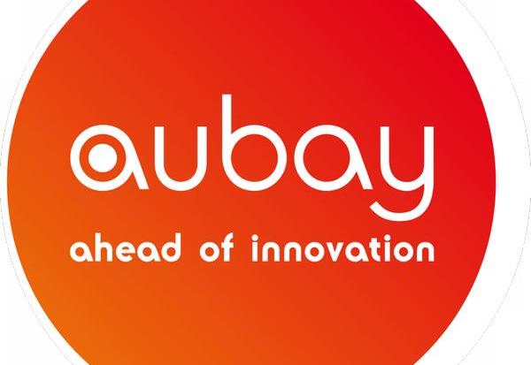 Aubay : au rebond !