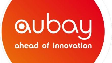 Aubay resserre ses prévisions 2025 en haut de fourchette