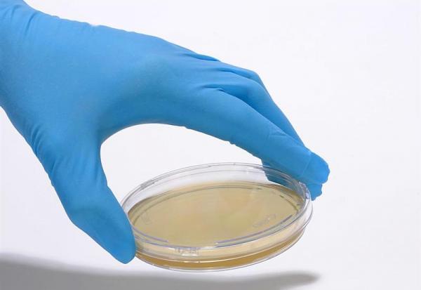 bioMérieux : marquage CE IVDR de Classe D pour deux tests