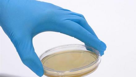 bioMérieux obtient le marquage CE IVDR pour deux tests BIOFIRE SPOTFIRE