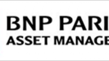 BNP Paribas Asset Management Alts décroche un mandat de 600 millions de dollars auprès de l'Arizona State Retirement System