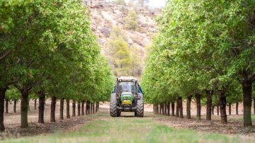 Bolloré : des emplettes dans l'agriculture