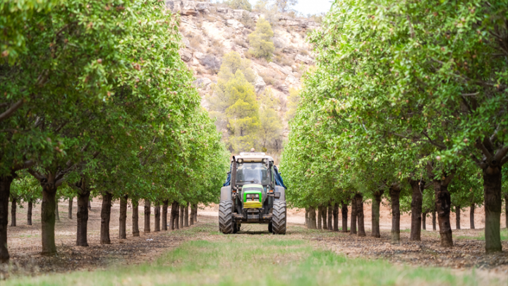 Bolloré : des emplettes dans l'agriculture