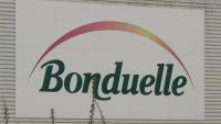 Bonduelle : décevant