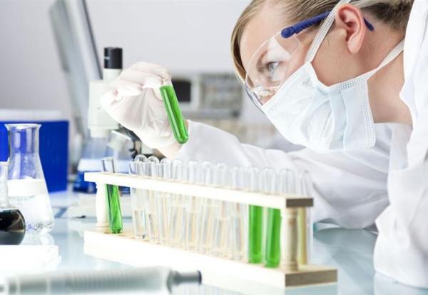 Bureau Veritas : campe sous les 30 euros