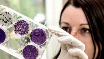 Cellectis fait le point ce lundi