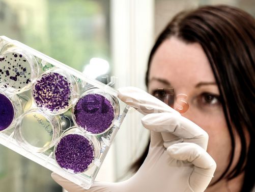 Cellectis : publication annoncée