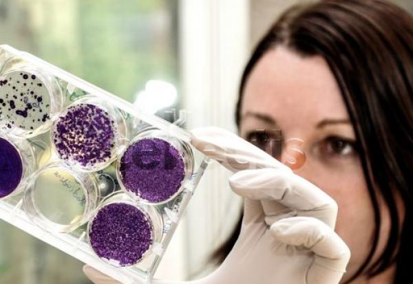 Cellectis : publication annoncée