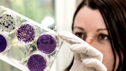 Cellectis : publication annoncée