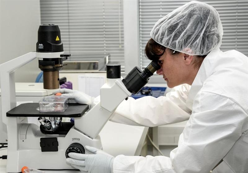 Cellectis : report de publication