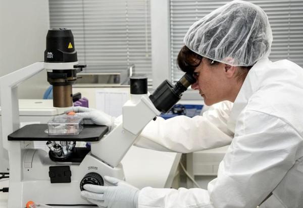 Cellectis : une étape encourageante dans le traitement de l'hypertriglycéridémie sévère